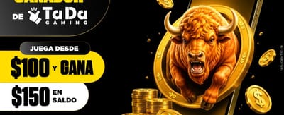 Siente la emoción del casino
